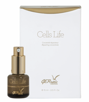 세포 생명 생식 